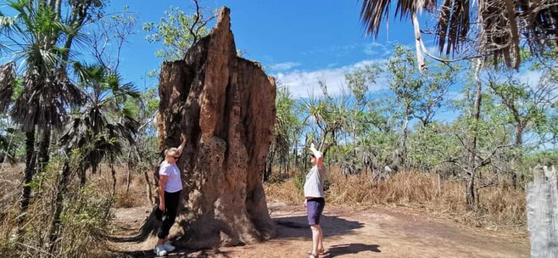 From Darwin: Litchfield National Park Small-Group Day Trip - The Drive to Litchfield  