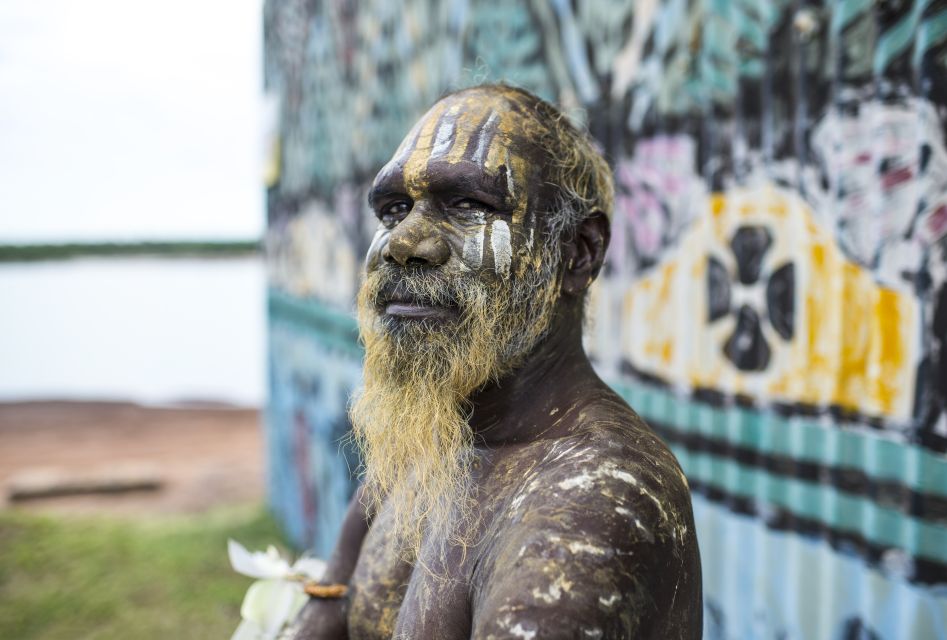 From Darwin: Tiwi Islands Cultural Day Tour by Ferry - Customer Reviews