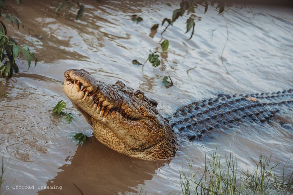 From Darwin: Top End Highlights 3-day Guided Tour - Equipment Provided for Participants