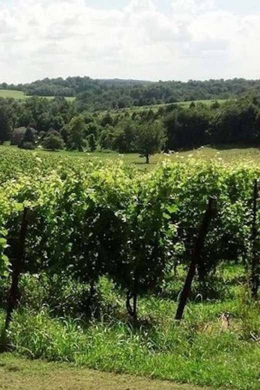 From DC or Balt: Westminster Region Wine Tour With Lunch - Tour Overview