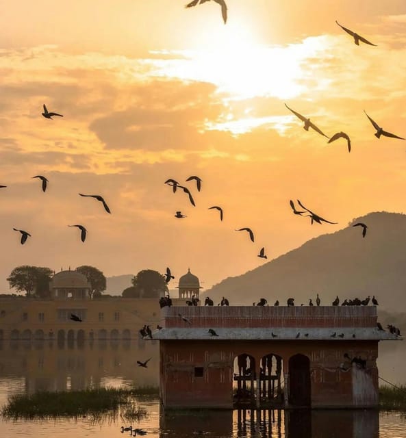 From Delhi: 3-Day Golden Triangle Private Tour With Hotels - Day 2 Highlights