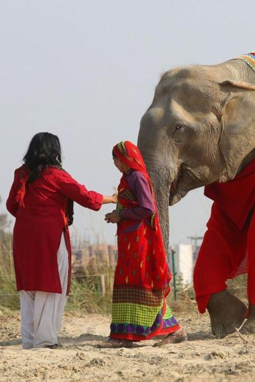 From Delhi: 3 Day Golden Triangle Tour With Elephant Reserve - Good To Know