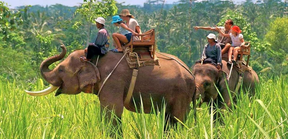From Delhi: 3-Day Jim Corbett National Park Private Safari - Daily Itinerary