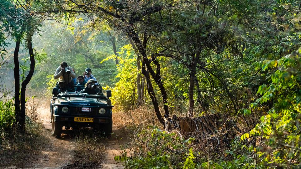 From Delhi: 3-Day Wildlife Trip to Jim Corbett National Park - Inclusions and Amenities