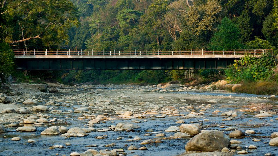 From Delhi: 3-Day Wildlife Trip to Jim Corbett National Park - Wildlife Experience Highlights