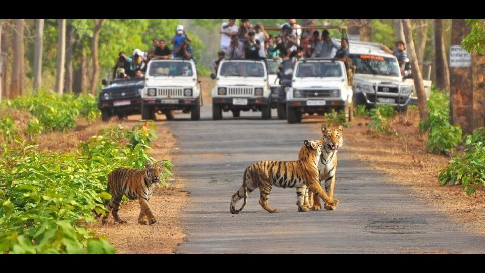 From Delhi: 3-Day Wildlife Trip to Jim Corbett National Park - Frequently Asked Questions