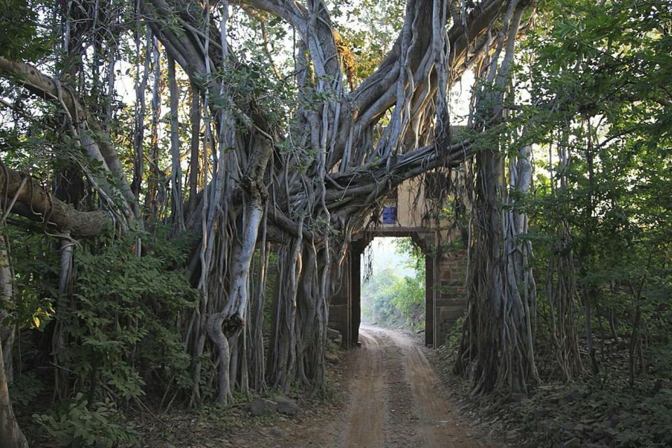 From Delhi: 3 Days Tour of Ranthambore Tiger Safari - Transportation Details