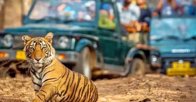 From Delhi: 4-Day Golden Triangle & Ranthambore Tiger Safari - Detailed Itinerary
