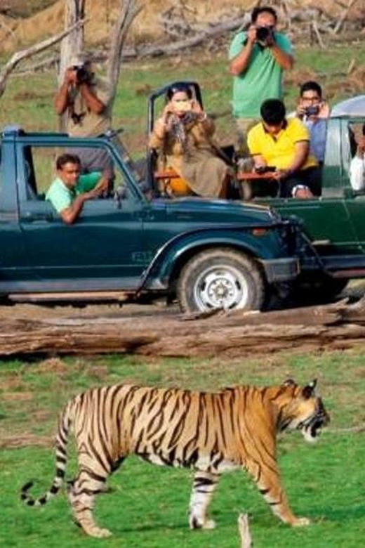 From Delhi: 4-Day Golden Triangle & Ranthambore Tiger Safari - Important Travel Tips