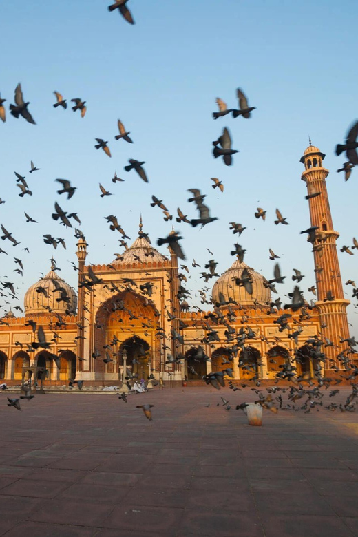 From Delhi: 4 Days Guided Tour to Agra, Ranthambore & Jaipur - Good To Know