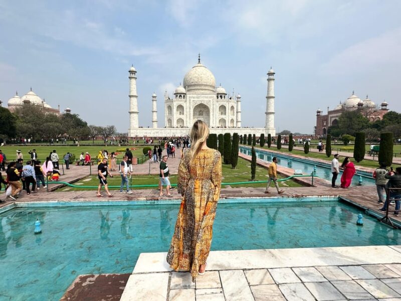 From Delhi: 4 Days Guided Tour to Agra, Ranthambore & Jaipur - Day 3: Ranthambore Adventure