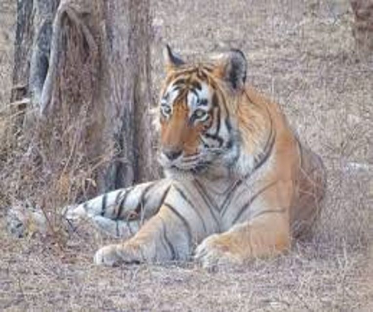 From Delhi: 5 Days Golden Triangle W/Ranthambore Tiger Safai - Key Destinations