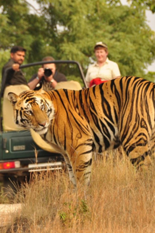 From Delhi : 6 Days Delhi, Jaipur, Agra & Ranthambore By Car - Inclusions and Exclusions