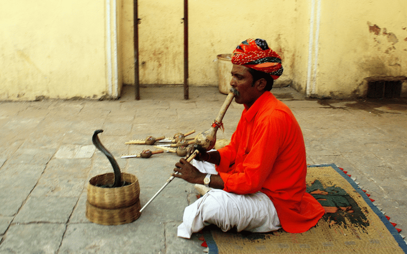 From Delhi: 7-Day Golden Triangle Jodhpur Udaipur Tour - Good To Know