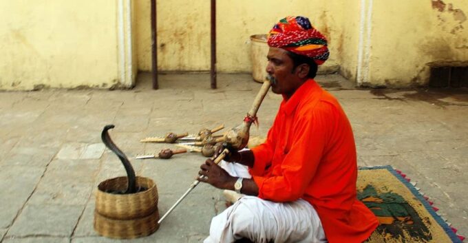From Delhi: 7-Day Golden Triangle Jodhpur Udaipur Tour - Age and Health Restrictions