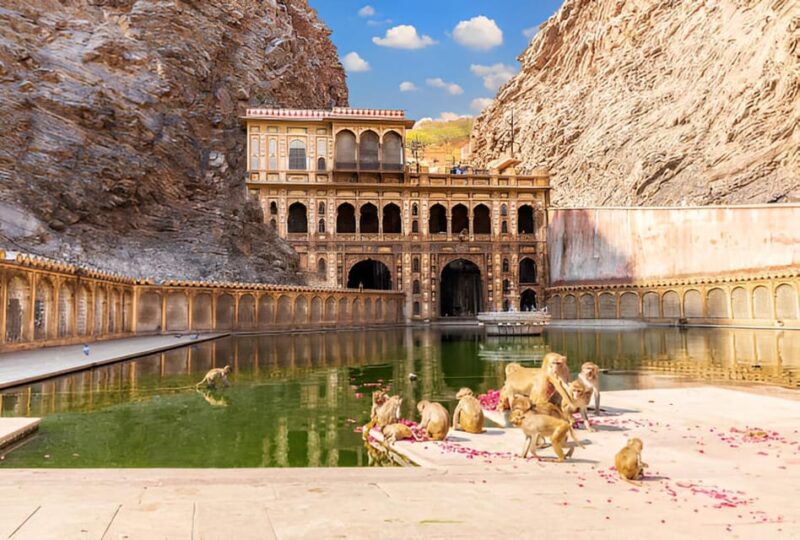 From Delhi: Discover Jaipur on a Private Day Trip by Car - Accessibility Features