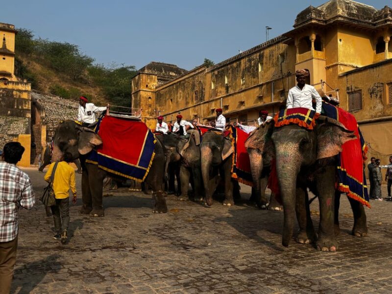From Delhi : Full Day Jaipur Sightseeing Tour & Return Delhi - Tour Guides and Languages