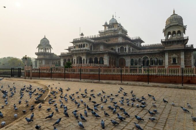 From Delhi: Jaipur (Pink City) and Monkey Temple Day Tour - Tips for Travelers
