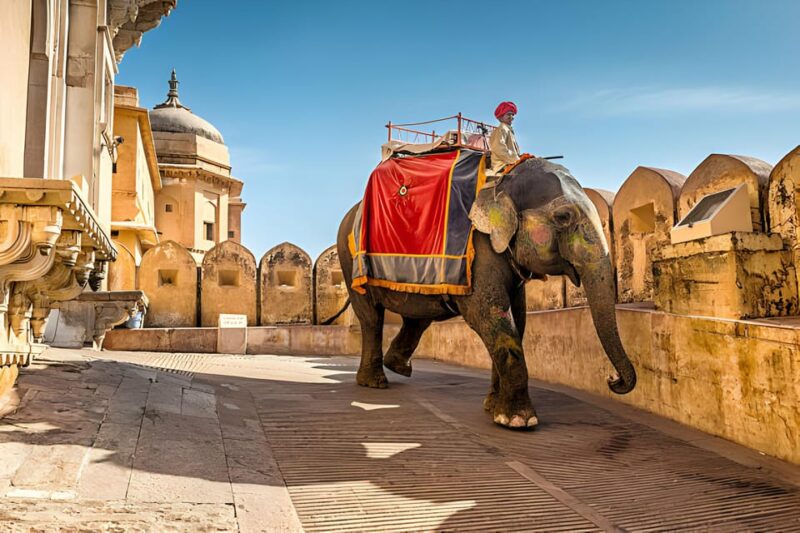 From Delhi: Jaipur Same Day Tour By Car - Tour Overview