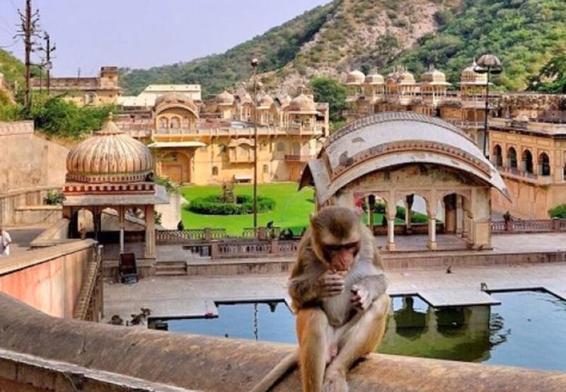 From Delhi : Jaipur Tour With Galta Ji Temple(Monkey Temple) - Itinerary Details