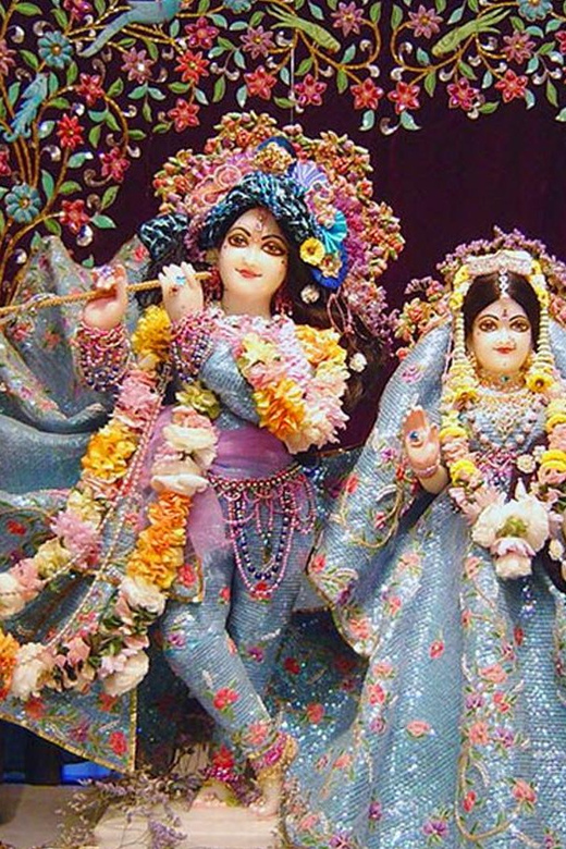 From Delhi: Private 1-day Mathura and Vrindavan Tour by Car - Inclusions and Exclusions