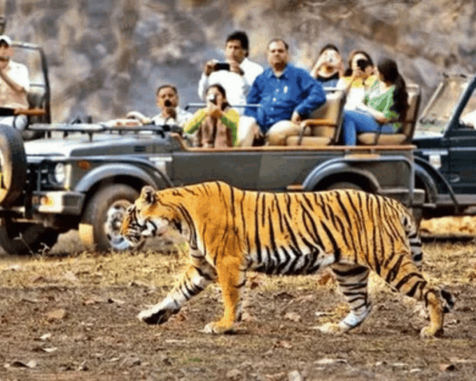From Delhi: Private 11-Days Séjour De Grand Luxe India Tour - Destination Highlights: Jaipur, Jodhpur, and Udaipur