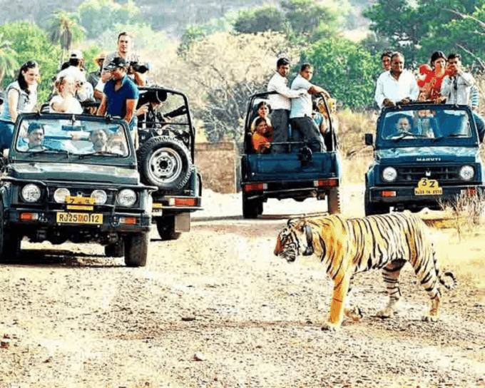 From Delhi: Private 11-Days Séjour De Grand Luxe India Tour - Important Information and Considerations