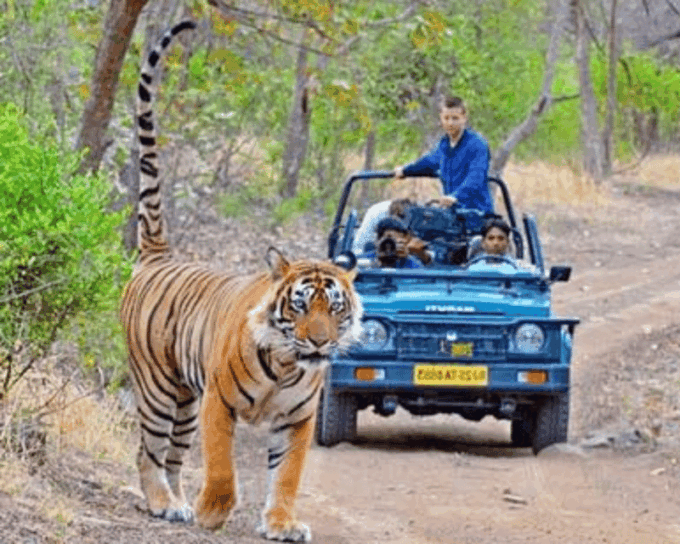 From Delhi: Private 11-Days Séjour De Grand Luxe India Tour - The Sum Up