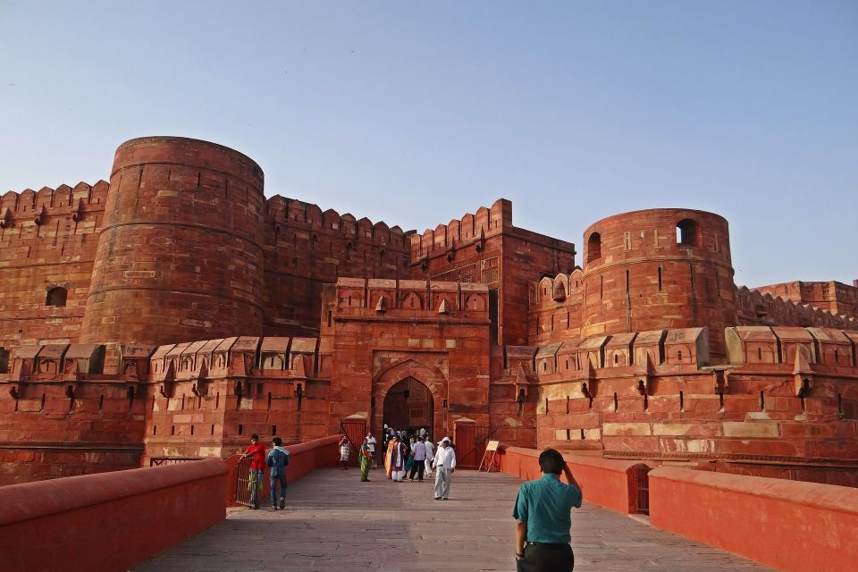 From Delhi: Private 5-Day Golden Triangle Tour - Customer Reviews and Feedback