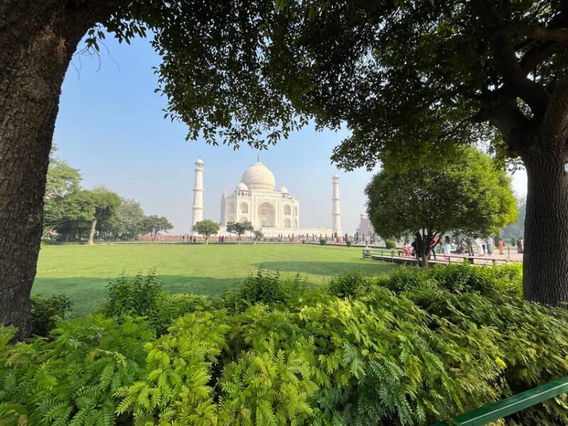 From Delhi: Sunrise Agra Tour by Car With Breakfast - Traveler Reviews