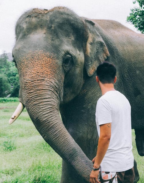 From Delhi: Sunrise Taj Mahal and Elephant Wildlife SOS Tour - Recommended Items