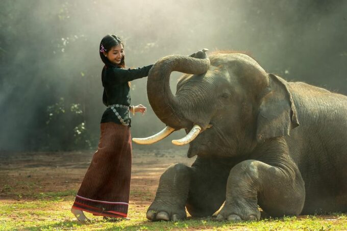 From Delhi: Sunrise Taj Mahal and Elephant Wildlife SOS Tour - Booking and Cancellation Policy