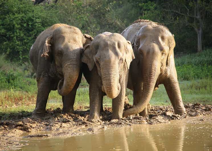 From Delhi: Taj Mahal Agra With Elephant Conservation Tour - Good To Know