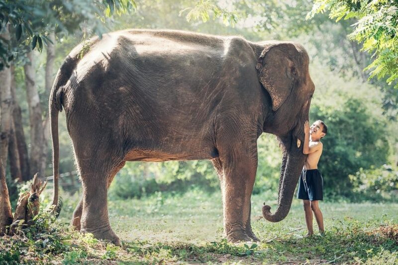 From Delhi: Taj Mahal and Elephant Care Park Day Trip - Itinerary Highlights