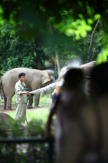 From Delhi: Taj Mahal and Elephant Care Park Day Trip - Tour Features and Inclusions