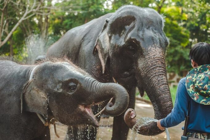 From Delhi: Taj Mahal and Elephant Care Park Day Trip - Optional Experiences
