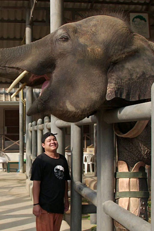 From Delhi Taj Mahal Sunrise Tour W/ Elephant Conservation - Key Highlights