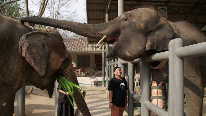 From Delhi Taj Mahal Sunrise Tour W/ Elephant Conservation - Customer Feedback