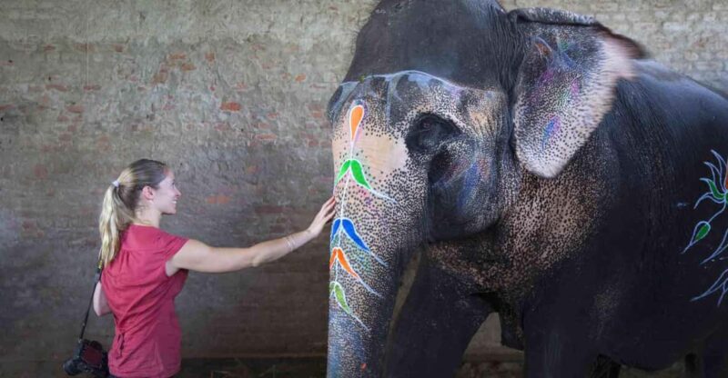 From Delhi: Taj Mahal Sunrise Tour W/ Elephant Conservation - Itinerary and Highlights