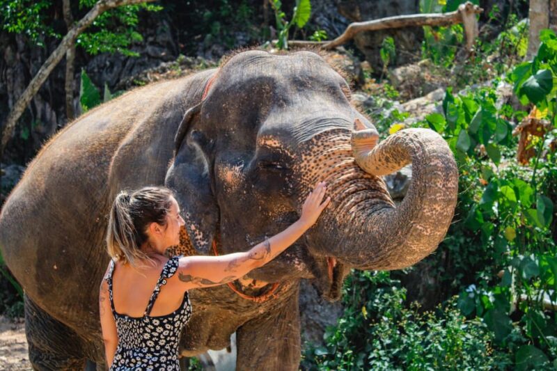 From Delhi: Taj Mahal Tour With Elephant Conservation Centre - Important Information