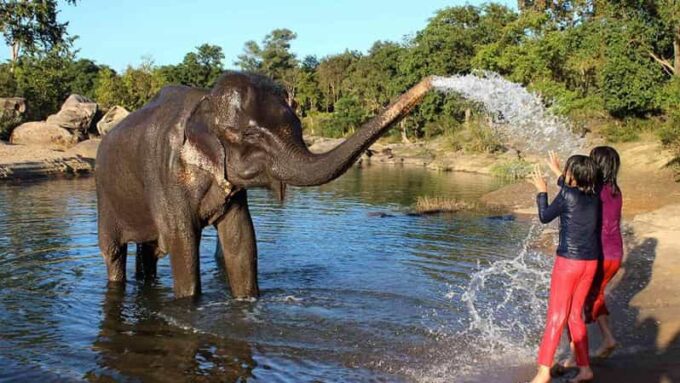 From Delhi: Taj Mahal Tour With Elephant Conservation Centre - Booking Details and Tips
