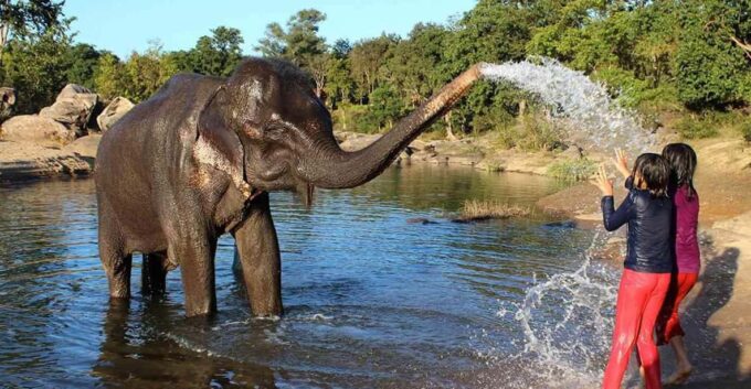 From Delhi: Taj Mahal Tour With Elephant Conservation Centre - The Sum Up