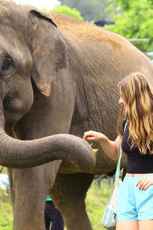 From Delhi: Taj Mahal Tour With Elephant Conservation Centre - Good To Know