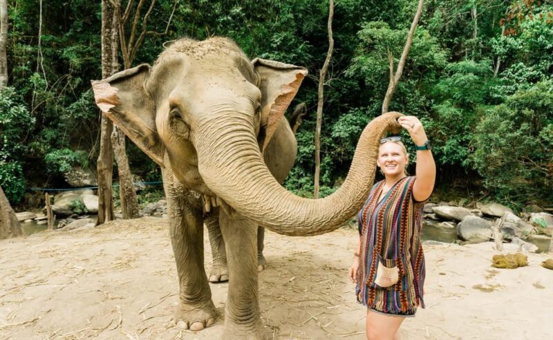 From Delhi: Taj Mahal Tour With Elephant Conservation Centre - Inclusions and Exclusions