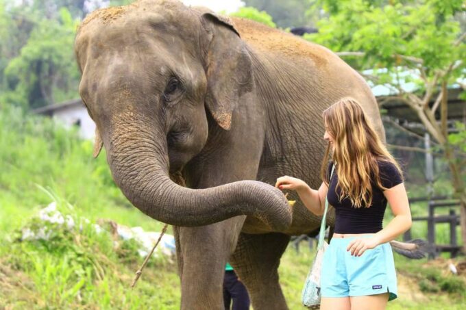 From Delhi: Taj Mahal Tour With Elephant Conservation Centre - The Sum Up