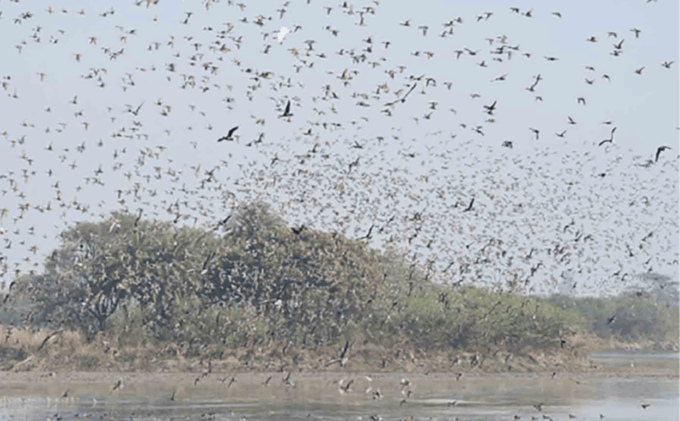 From Delhi: Taj Mahal Tour With Keolorado Bird Santuary - Inclusions and Amenities