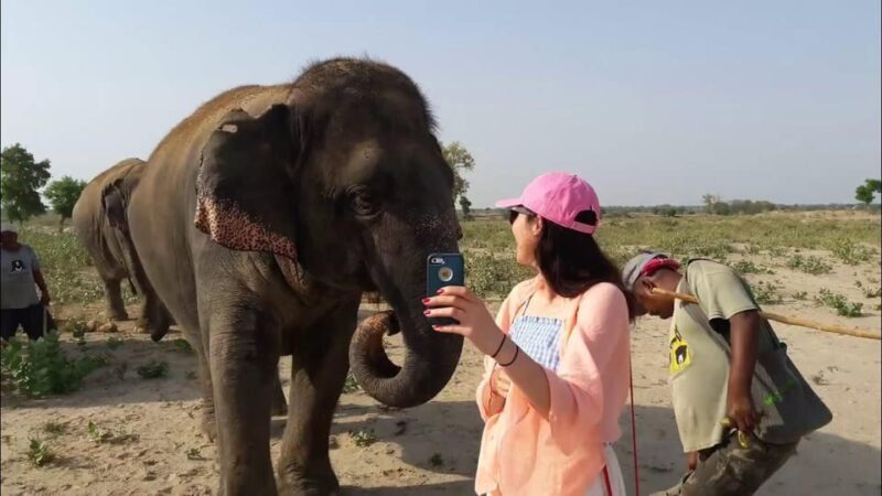 From Delhi: Taj Mahal With Elephant & Bear Conservation Tour - Transportation and Accessibility