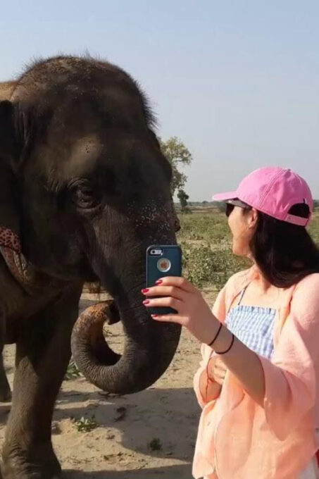 From Delhi: Taj Mahal With Elephant & Bear Conservation Tour - Frequently Asked Questions