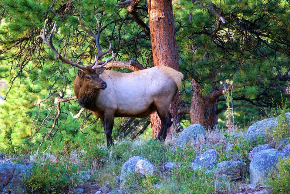 From Denver: Guided Hike in Rocky Mountain National Park - Hiking Difficulty and Requirements