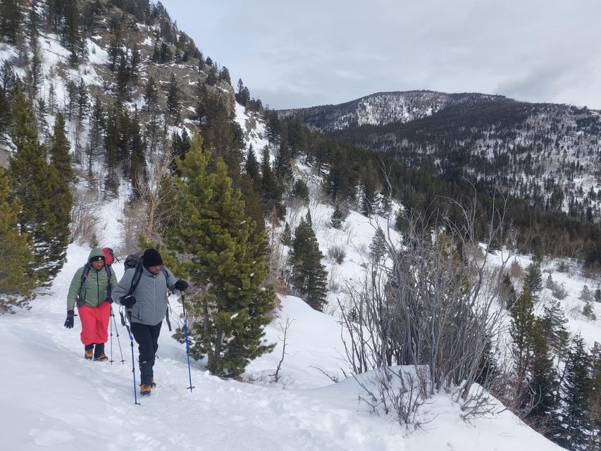 From Denver: Guided Hike to Alpine Lake - Health Considerations